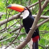 Bioparque Serra Negra